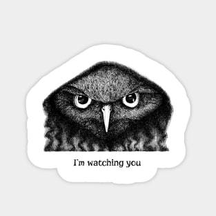 I'm watching you Sticker